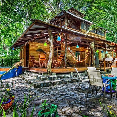 Congo Bongo Ecovillage Costa Rica Puerto Viejo de Talamanca Ngoại thất bức ảnh