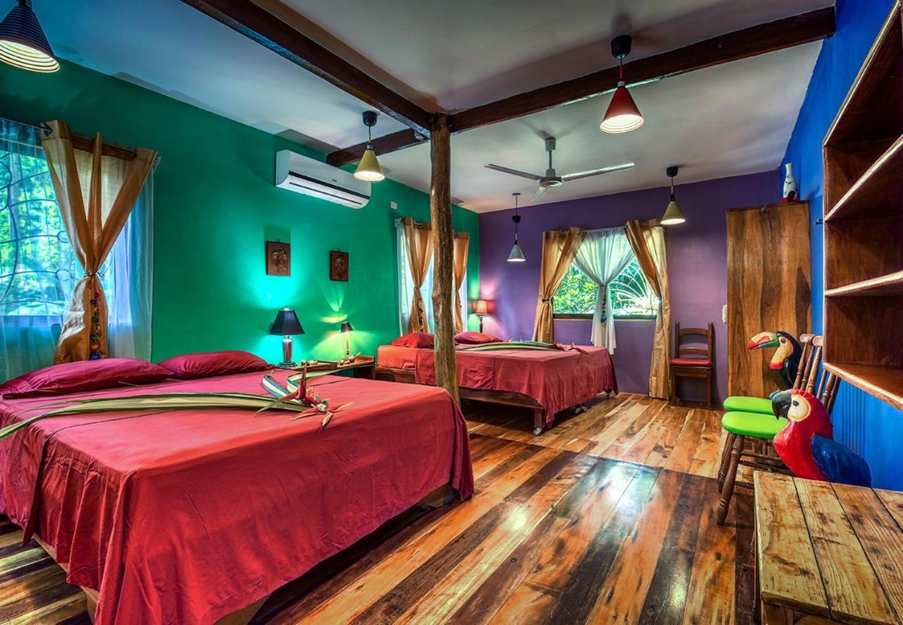 Congo Bongo Ecovillage Costa Rica Puerto Viejo de Talamanca Ngoại thất bức ảnh