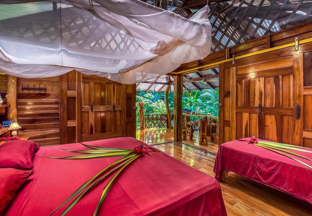 Congo Bongo Ecovillage Costa Rica Puerto Viejo de Talamanca Ngoại thất bức ảnh
