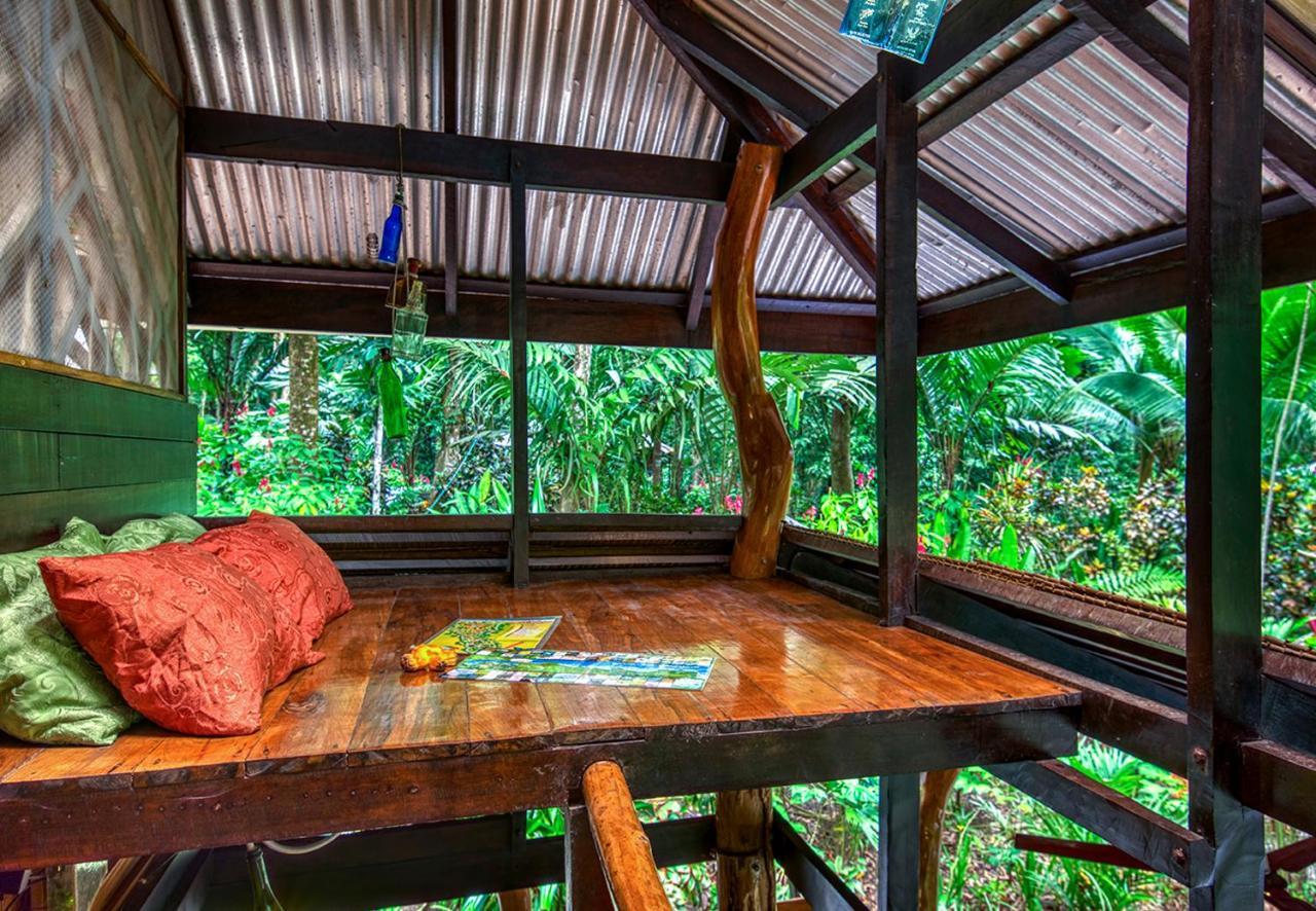 Congo Bongo Ecovillage Costa Rica Puerto Viejo de Talamanca Ngoại thất bức ảnh