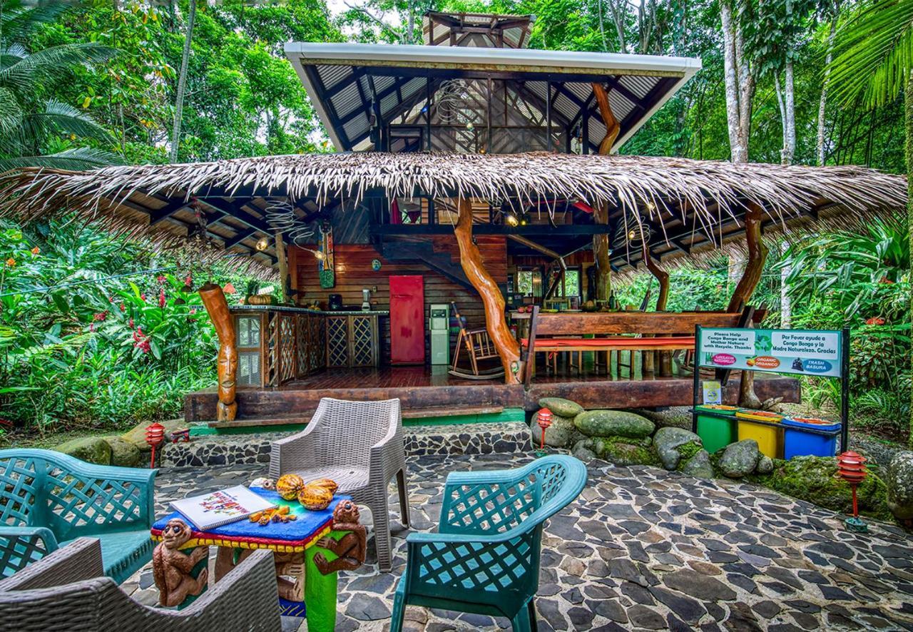 Congo Bongo Ecovillage Costa Rica Puerto Viejo de Talamanca Ngoại thất bức ảnh