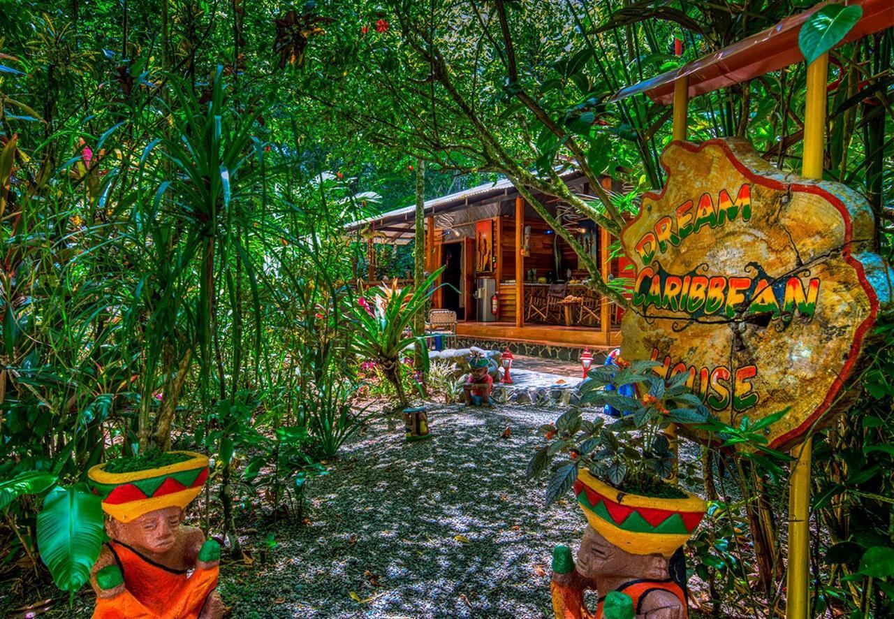 Congo Bongo Ecovillage Costa Rica Puerto Viejo de Talamanca Ngoại thất bức ảnh