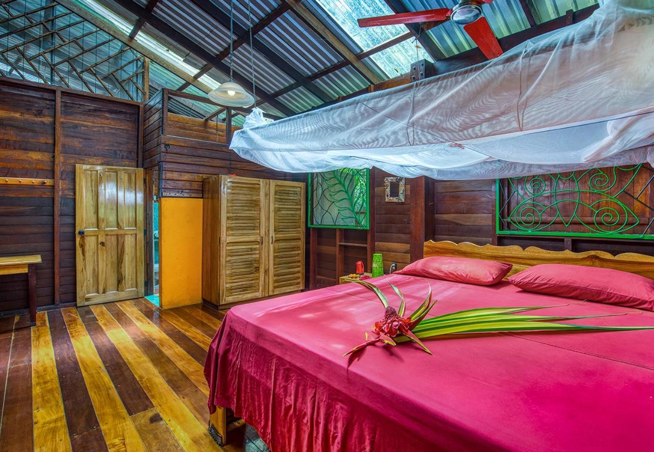 Congo Bongo Ecovillage Costa Rica Puerto Viejo de Talamanca Ngoại thất bức ảnh